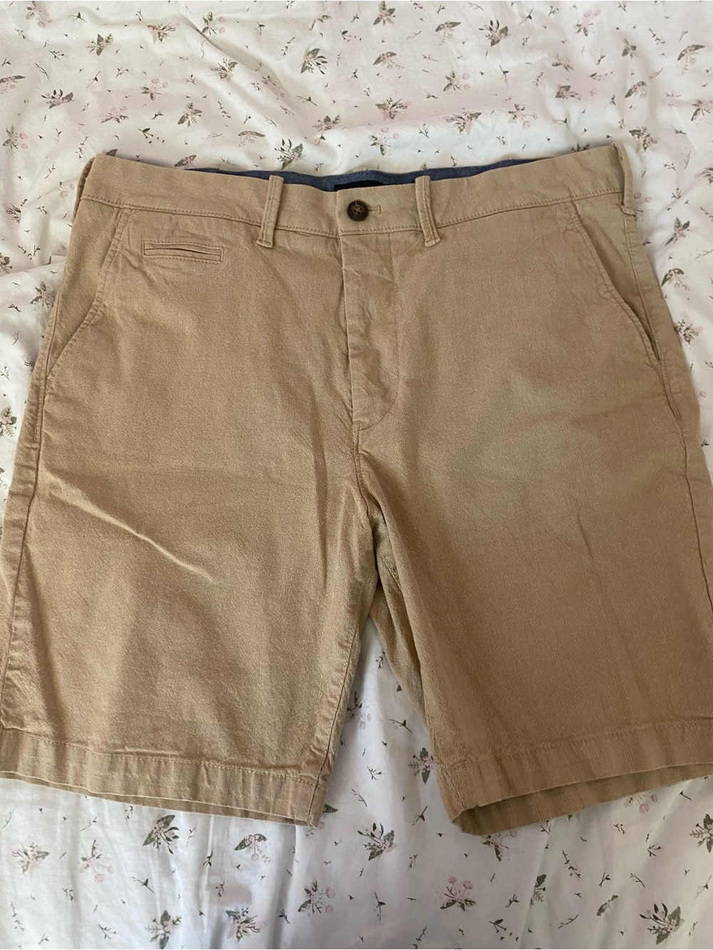 Express Men's Tan Hybrid Shorts
